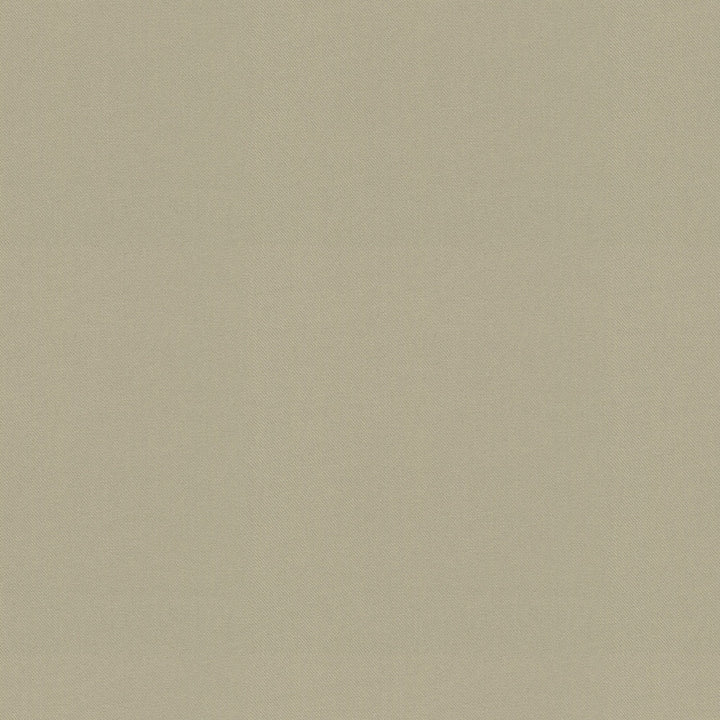 Raya Oyster 471434 by P/K LIFESTYLES Designer Fabric - 100% recycled polyester India 51000 Horizontal: 0 and Vertical: 0 56  - Swanky Fabrics -