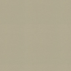 Raya Oyster 471434 By P/K Lifestyles Designer Fabric