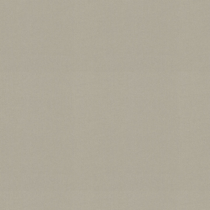 Raya Sterling 471435 by P/K LIFESTYLES Designer Fabric - 100% recycled polyester India 51000 Horizontal: 0 and Vertical: 0 56  - Swanky Fabrics -
