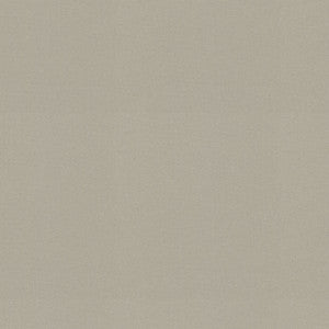 Raya Sterling 471435 By P/K Lifestyles Designer Fabric