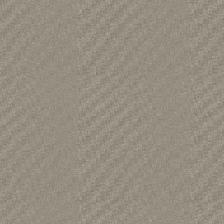 Raya Stone 471436 by P/K LIFESTYLES Designer Fabric - 100% recycled polyester India 51000 Horizontal: 0 and Vertical: 0 56  - Swanky Fabrics -