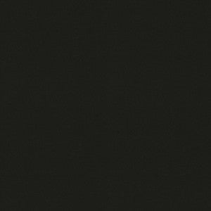 Raya Black 471439 By P/K Lifestyles Designer Fabric