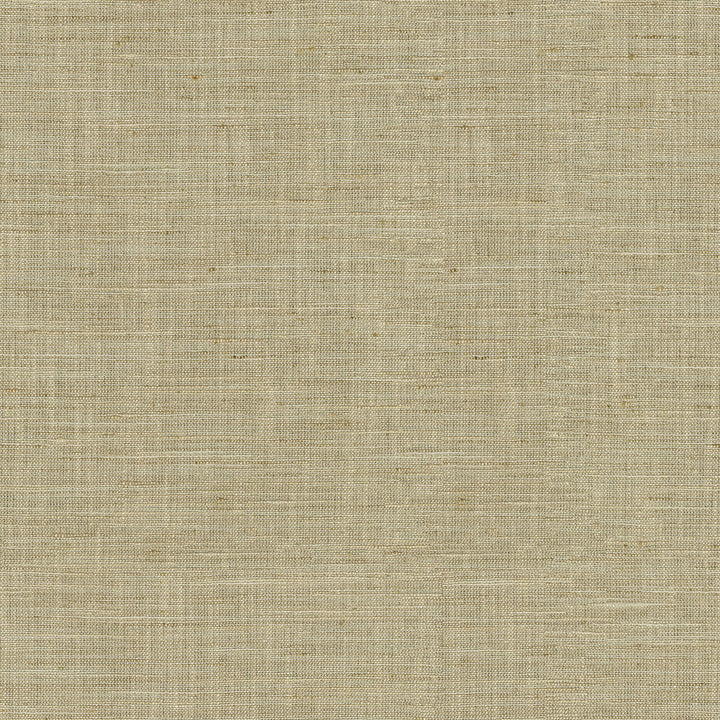 Santa Fe Linen by PK Lifestyles Designer Fabric - 50% polyester, 35% rayon, 15% linen India 45000 Horizontal: 0 and Vertical: 0 55 - Swanky Fabrics -