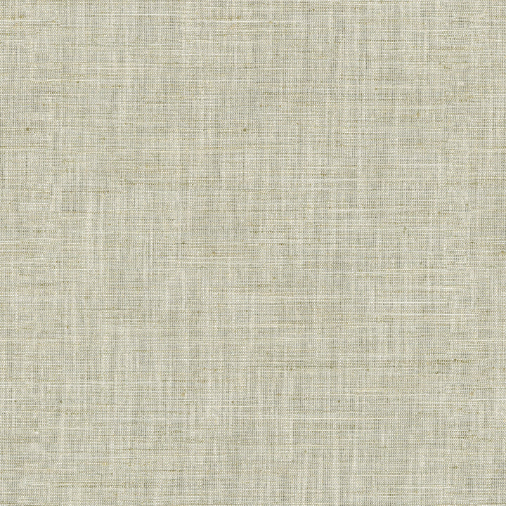 Santa Fe Parchment by PK Lifestyles Designer Fabric - 50% polyester, 35% rayon, 15% linen India 45000 Horizontal: 0 and Vertical: 0 55 - Swanky Fabrics -