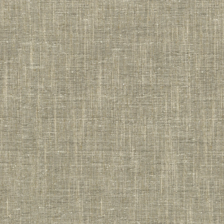 Accent Mineral by PK Lifestyles Designer Fabric - 97% polyester, 3% cotton India 50000 Horizontal: 0 and Vertical: 0 54 - Swanky Fabrics -