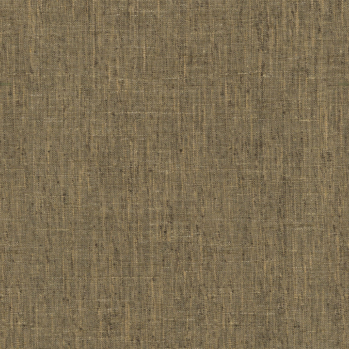 Accent Walnut by PK Lifestyles Designer Fabric - 97% polyester, 3% cotton India 50000 Horizontal: 0 and Vertical: 0 54 - Swanky Fabrics -
