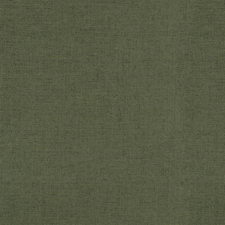 Perf Zenith Eucalyptus by PK Lifestyles Designer Fabric - 55% recycled polyester, 40% polyester, 5% linen China 51000 Horizontal: 0 and Vertical: 0 55 - Swanky Fabrics -