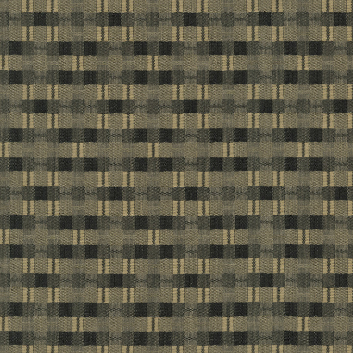 Picnic Plaid Calligraphy by PK Lifestyles Designer Fabric - 59% polyester, 41% cotton India 51000 Horizontal: 0 and Vertical: 0 54 - Swanky Fabrics -
