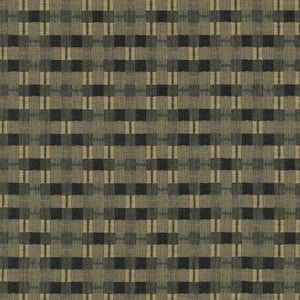 Picnic Plaid Calligraphy by PK Lifestyles Designer Fabric