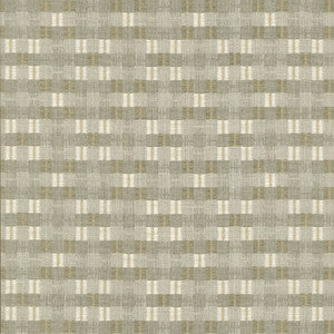 Picnic Plaid Pebble by PK Lifestyles Designer Fabric