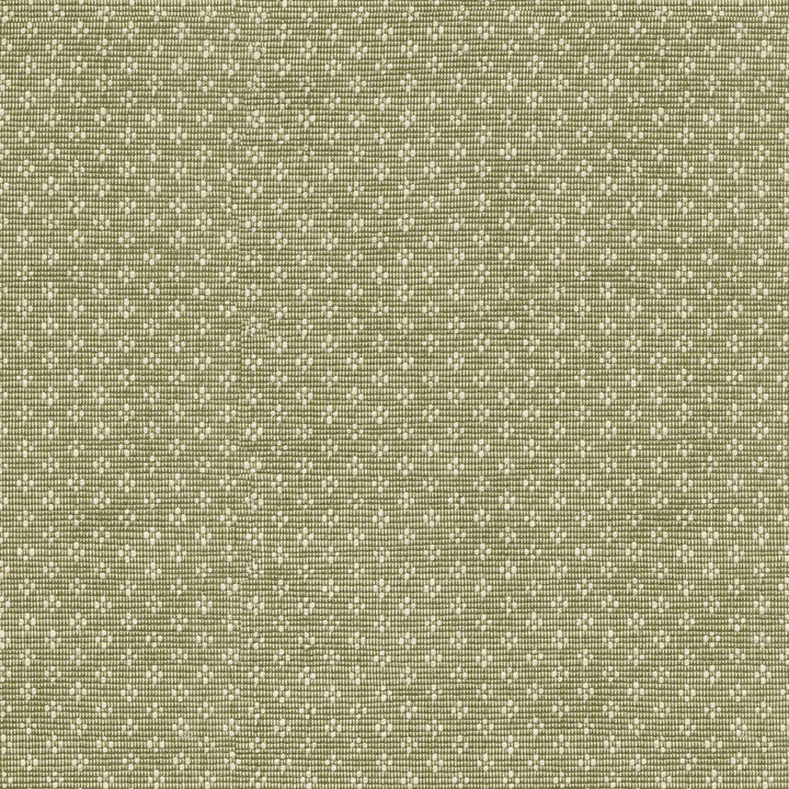 Bay Leaf Olive by PK Lifestyles Designer Fabric - 75% cotton, 25% polyester India 51000 Horizontal: 0.87 and Vertical: 0.63 54 - Swanky Fabrics -