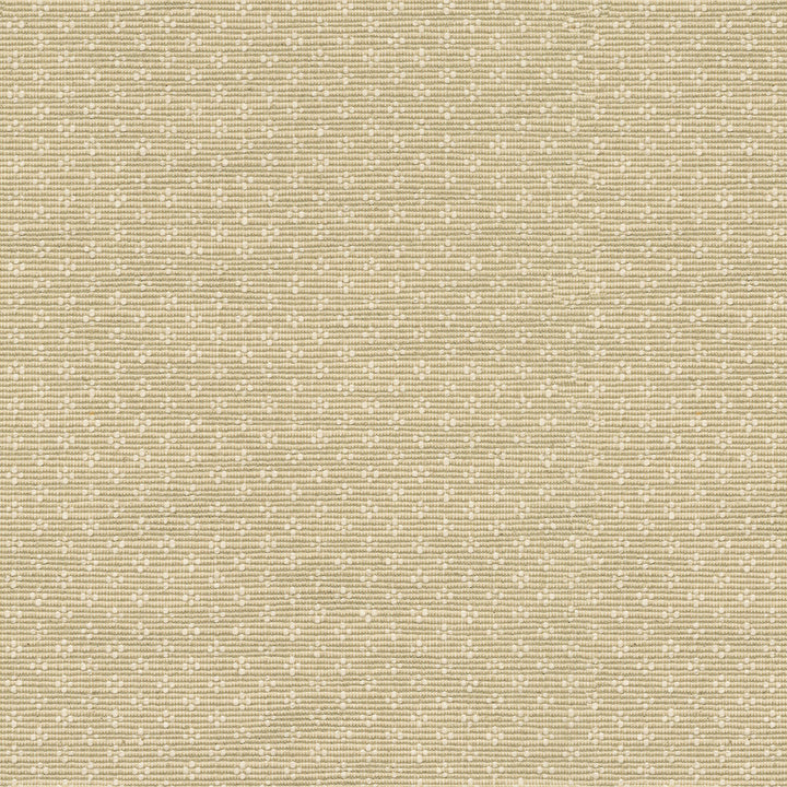 Bay Leaf Linen by PK Lifestyles Designer Fabric - 75% cotton, 25% polyester India 51000 Horizontal: 0.87 and Vertical: 0.63 54 - Swanky Fabrics -