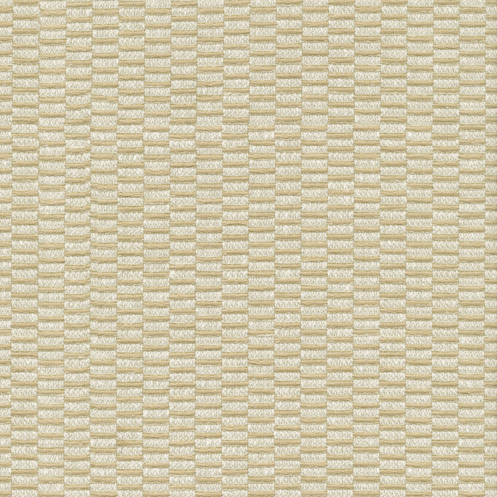 Stacked Cornsilk 472201 by PK Lifestyles Designer Fabric Cozy Life VIII 52% Cotton, 48% Polyester India 51000 H: 1.375, V: 0.0375 54 - Swanky Fabrics -
