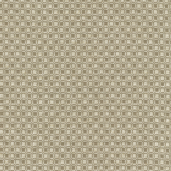 Outside the Box Taupe 472211 by PK Lifestyles Designer Fabric Expressionist VI 74% Polyester, 26% Cotton India 51000 H: 1, V: 0.875 54 - Swanky Fabrics -