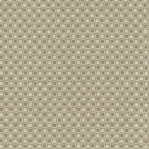 Outside the Box Taupe 472211 by PK Lifestyles Designer Fabric