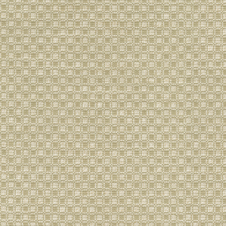 Outside the Box Oat 472212 by PK Lifestyles Designer Fabric Expressionist VI 74% Polyester, 26% Cotton India 51000 H: 1, V: 0.875 54 - Swanky Fabrics -