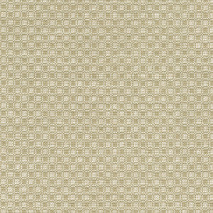 Outside the Box Oat 472212 by PK Lifestyles Designer Fabric