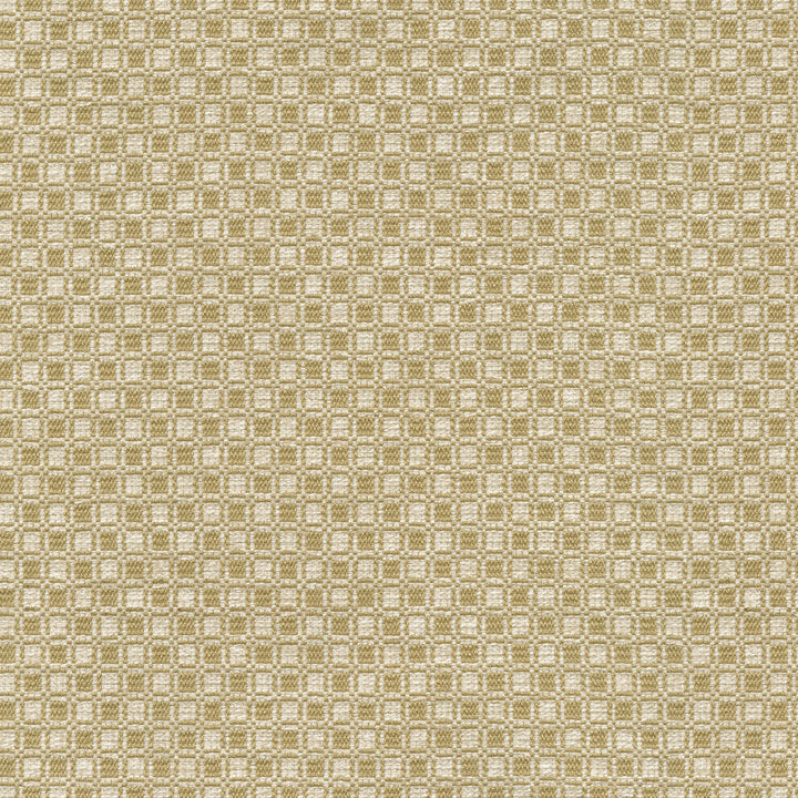 Outside the Box Gold 472213 by PK Lifestyles Designer Fabric Expressionist VI 74% Polyester, 26% Cotton India 51000 H: 1, V: 0.875 54 - Swanky Fabrics -