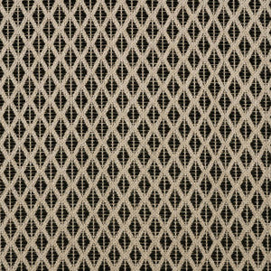 146003-0004 Detail Classic by Sunbrella Designer Fabric