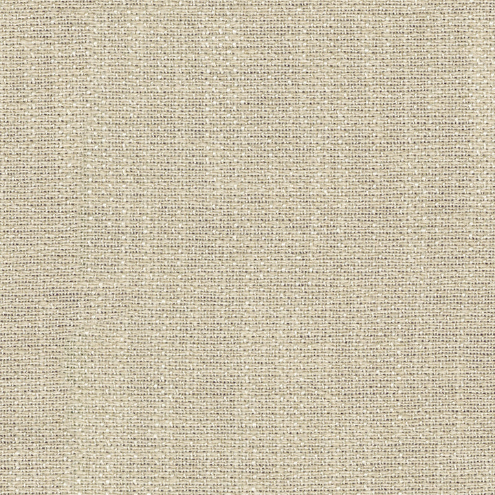 Zachary Sheer Champagne 472452 by PK Lifestyles Designer Fabric Portiere VI 100% Polyester India N/A H: N/A, V: N/A 118 - Swanky Fabrics -