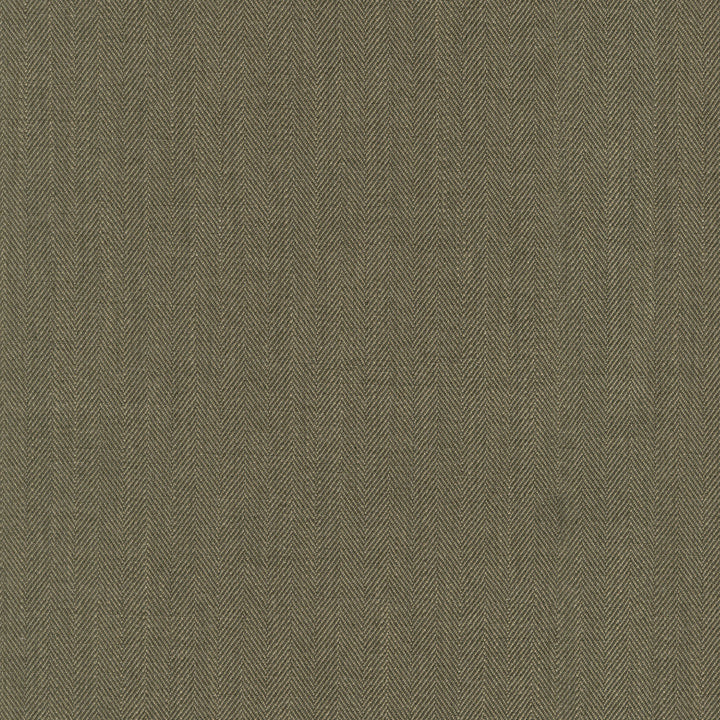 Paxton Woodland 472550 by PK Lifestyles Designer Fabric PKL Studio June 2025 Base: 100% Polyester India 51000 H: N/A, V: N/A 55 - Swanky Fabrics -