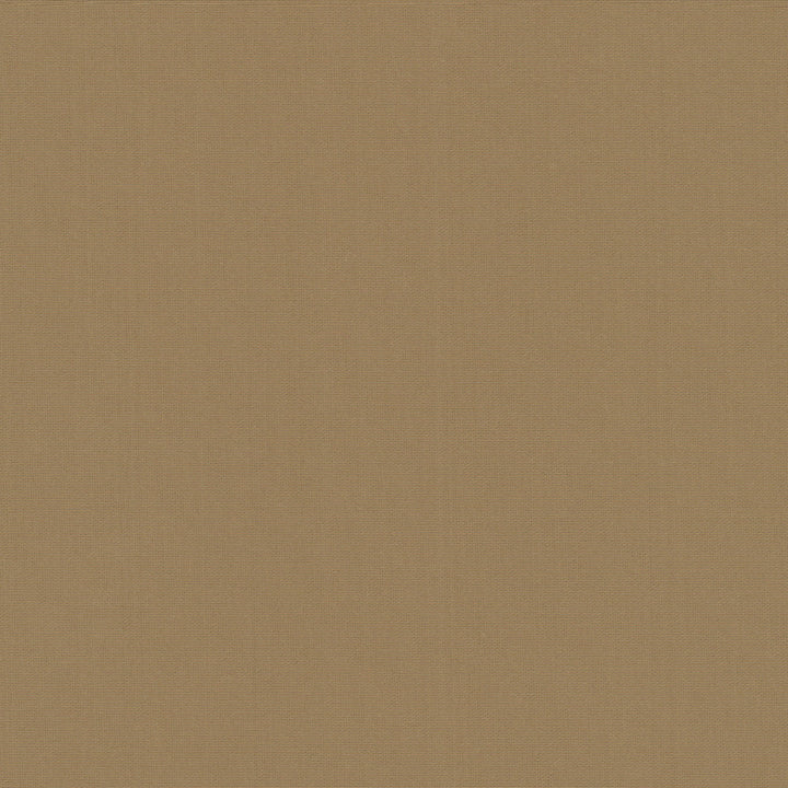 Belcourt Praline 472711 by PK Lifestyles Designer Fabric PKL Studio June 2025 52% Fire Retardant Polyester, 48% Polyester Turkey 18000 H: N/A, V: N/A 57 - Swanky Fabrics -