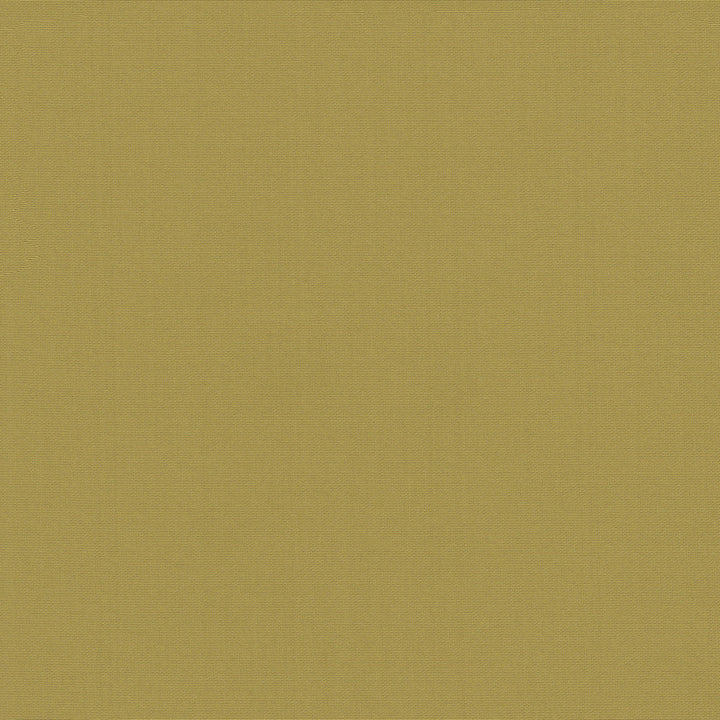 Belcourt Gold 472712 by PK Lifestyles Designer Fabric PKL Studio June 2025 52% Fire Retardant Polyester, 48% Polyester Turkey 18000 H: N/A, V: N/A 57 - Swanky Fabrics -