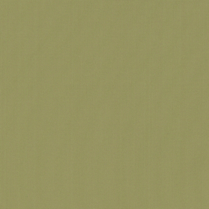 Belcourt Desert Bloom 472713 by PK Lifestyles Designer Fabric PKL Studio June 2025 52% Fire Retardant Polyester, 48% Polyester Turkey 18000 H: N/A, V: N/A 57 - Swanky Fabrics -