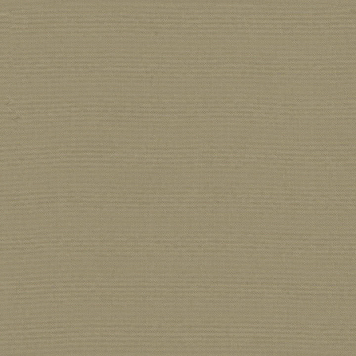 Belcourt Fawn 472714 by PK Lifestyles Designer Fabric PKL Studio June 2025 52% Fire Retardant Polyester, 48% Polyester Turkey 18000 H: N/A, V: N/A 57 - Swanky Fabrics -