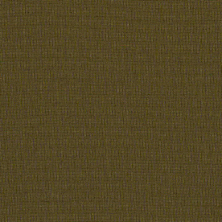 Belcourt Bronze 472717 by PK Lifestyles Designer Fabric PKL Studio June 2025 52% Fire Retardant Polyester, 48% Polyester Turkey 18000 H: N/A, V: N/A 57 - Swanky Fabrics -