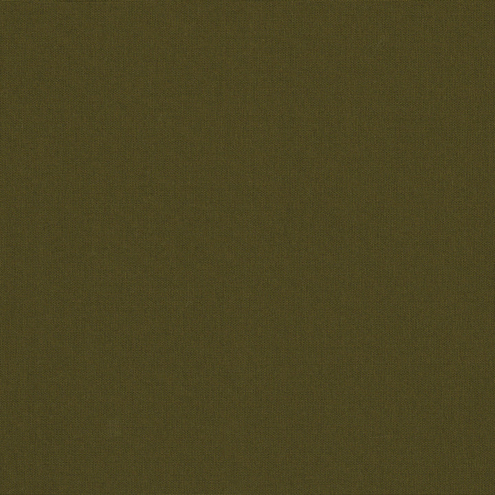Belcourt Pyrite 472718 by PK Lifestyles Designer Fabric PKL Studio June 2025 52% Fire Retardant Polyester, 48% Polyester Turkey 18000 H: N/A, V: N/A 57 - Swanky Fabrics -