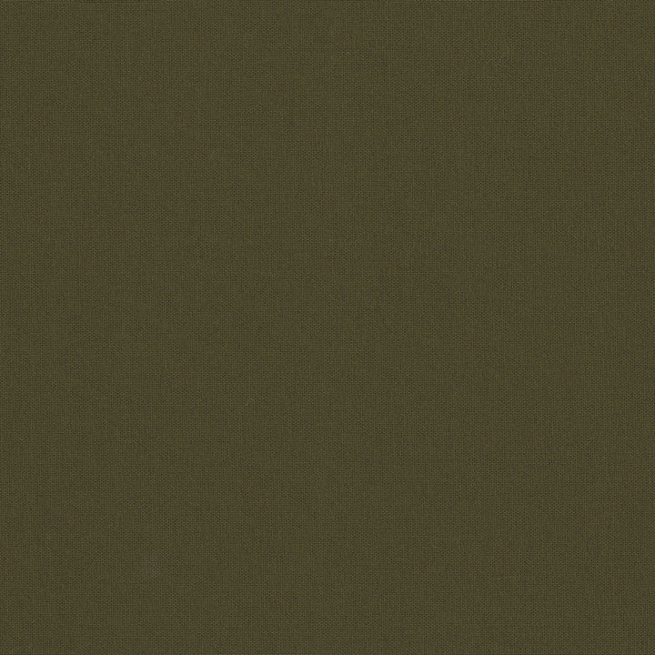 Belcourt Firefly 472719 by PK Lifestyles Designer Fabric PKL Studio June 2025 52% Fire Retardant Polyester, 48% Polyester Turkey 18000 H: N/A, V: N/A 57 - Swanky Fabrics -