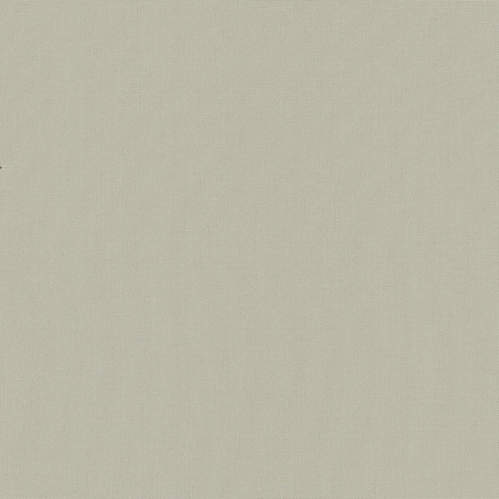 Belcourt Birch 472723 by PK Lifestyles Designer Fabric PKL Studio June 2025 52% Fire Retardant Polyester, 48% Polyester Turkey 18000 H: N/A, V: N/A 57 - Swanky Fabrics -
