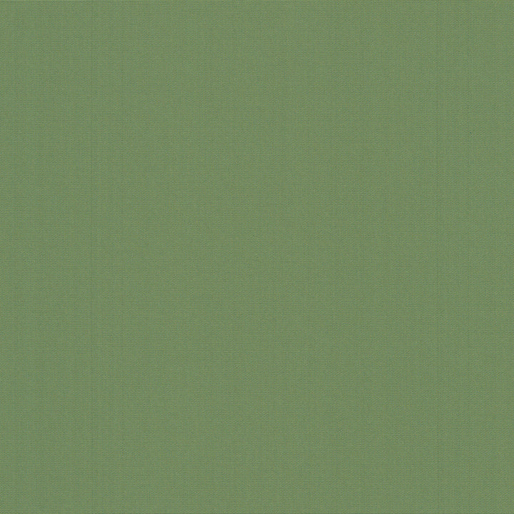 Belcourt Leaf 472725 by PK Lifestyles Designer Fabric PKL Studio June 2025 52% Fire Retardant Polyester, 48% Polyester Turkey 18000 H: N/A, V: N/A 57 - Swanky Fabrics -