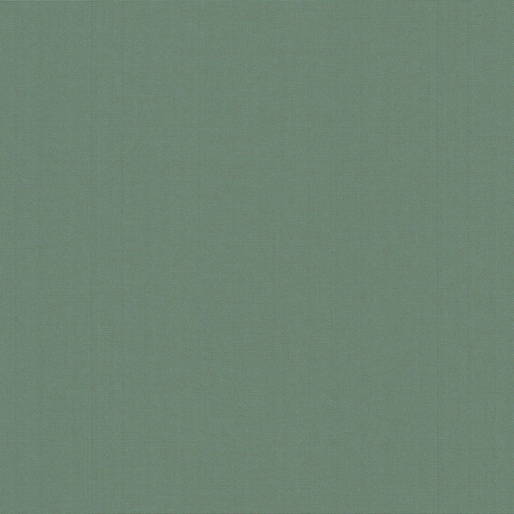 Belcourt Herbal 472726 by PK Lifestyles Designer Fabric PKL Studio June 2025 52% Fire Retardant Polyester, 48% Polyester Turkey 18000 H: N/A, V: N/A 57 - Swanky Fabrics -