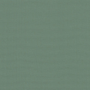 Belcourt Herbal 472726 by PK Lifestyles Designer Fabric