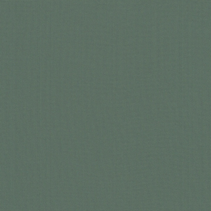 Belcourt Blue Agave 472728 by PK Lifestyles Designer Fabric PKL Studio June 2025 52% Fire Retardant Polyester, 48% Polyester Turkey 18000 H: N/A, V: N/A 57 - Swanky Fabrics -