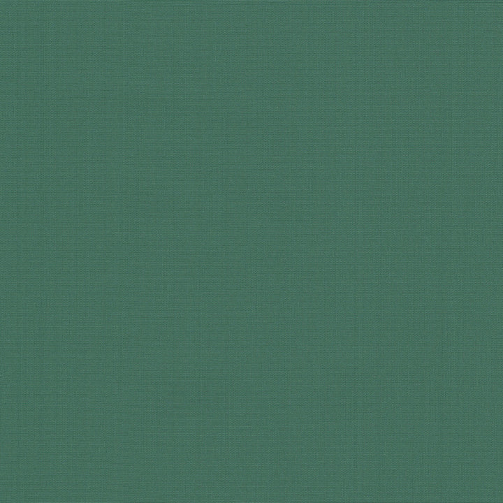 Belcourt Aquamarine 472729 by PK Lifestyles Designer Fabric PKL Studio June 2025 52% Fire Retardant Polyester, 48% Polyester Turkey 18000 H: N/A, V: N/A 57 - Swanky Fabrics -