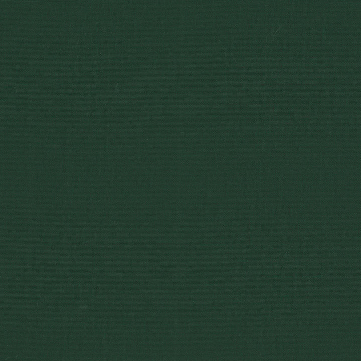 Belcourt Balsam 472730 by PK Lifestyles Designer Fabric PKL Studio June 2025 52% Fire Retardant Polyester, 48% Polyester Turkey 18000 H: N/A, V: N/A 57 - Swanky Fabrics -