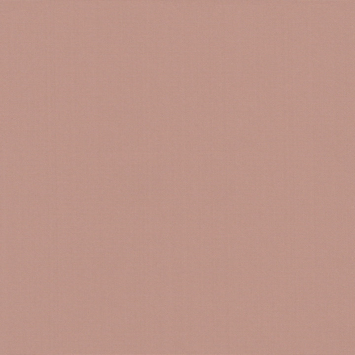 Belcourt Ballet 472744 by PK Lifestyles Designer Fabric PKL Studio June 2025 52% Fire Retardant Polyester, 48% Polyester Turkey 18000 H: N/A, V: N/A 57 - Swanky Fabrics -