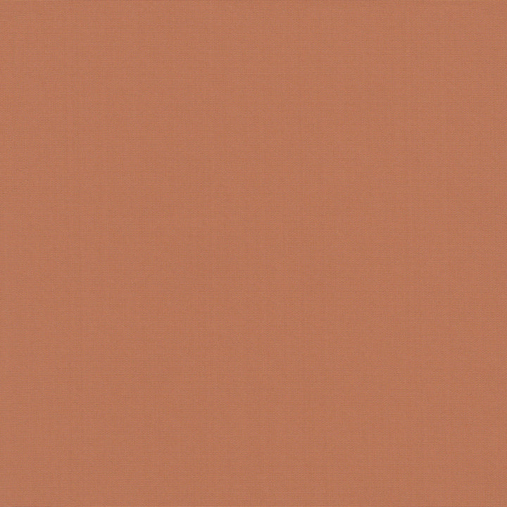 Belcourt Papaya 472745 by PK Lifestyles Designer Fabric PKL Studio June 2025 52% Fire Retardant Polyester, 48% Polyester Turkey 18000 H: N/A, V: N/A 57 - Swanky Fabrics -