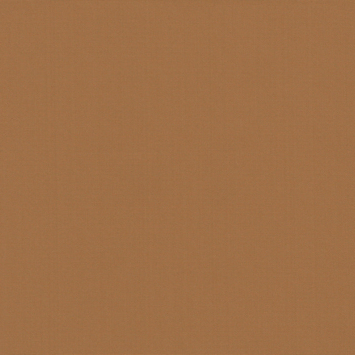 Belcourt Sienna 472746 by PK Lifestyles Designer Fabric PKL Studio June 2025 52% Fire Retardant Polyester, 48% Polyester Turkey 18000 H: N/A, V: N/A 57 - Swanky Fabrics -