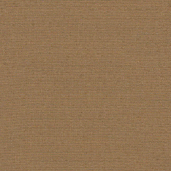 Belcourt Cgnac 472747 by PK Lifestyles Designer Fabric PKL Studio June 2025 52% Fire Retardant Polyester, 48% Polyester Turkey 18000 H: N/A, V: N/A 57 - Swanky Fabrics -
