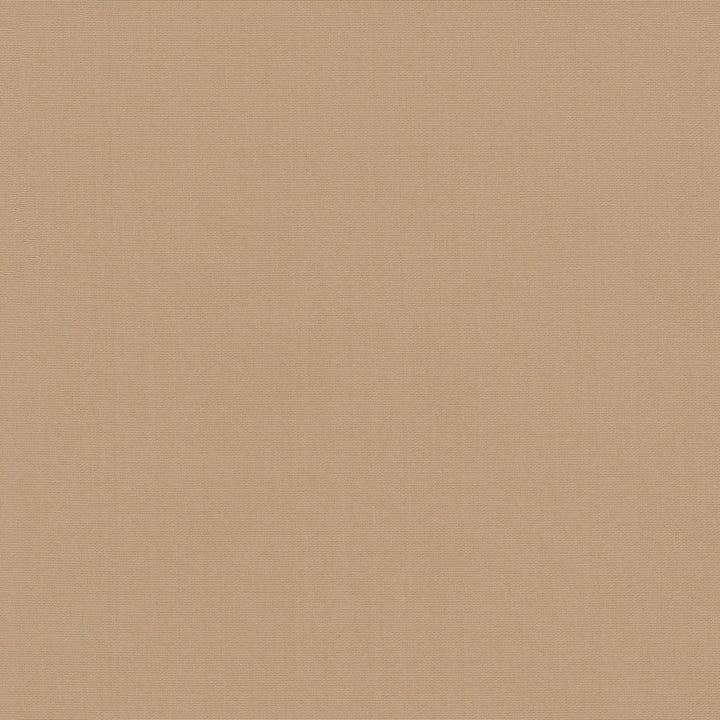 Belcourt Peach 472748 by PK Lifestyles Designer Fabric PKL Studio June 2025 52% Fire Retardant Polyester, 48% Polyester Turkey 18000 H: N/A, V: N/A 57 - Swanky Fabrics -