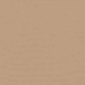 Belcourt Peach 472748 by PK Lifestyles Designer Fabric
