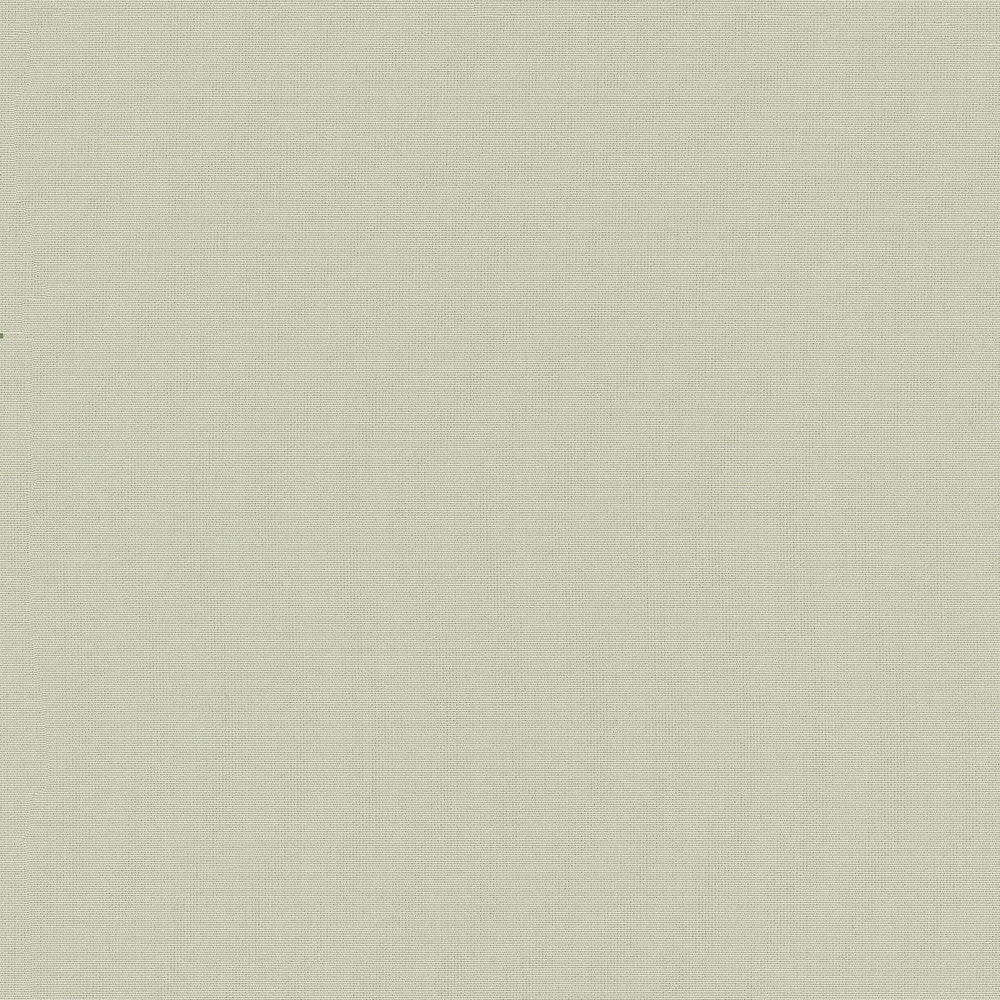 Belcourt Vanilla 472752 by PK Lifestyles Designer Fabric PKL Studio June 2025 52% Fire Retardant Polyester, 48% Polyester Turkey 18000 H: N/A, V: N/A 57 - Swanky Fabrics -