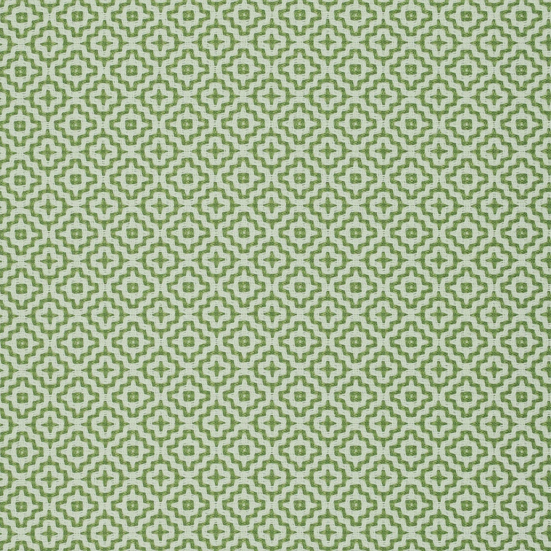 Veracruz Agave 473032 by PKL Studio Designer Fabric - 64% Cotton 36% Polyester India 51000 Horizontal: 1.100" and Vertical: 1.100" 54 - Swanky Fabrics -