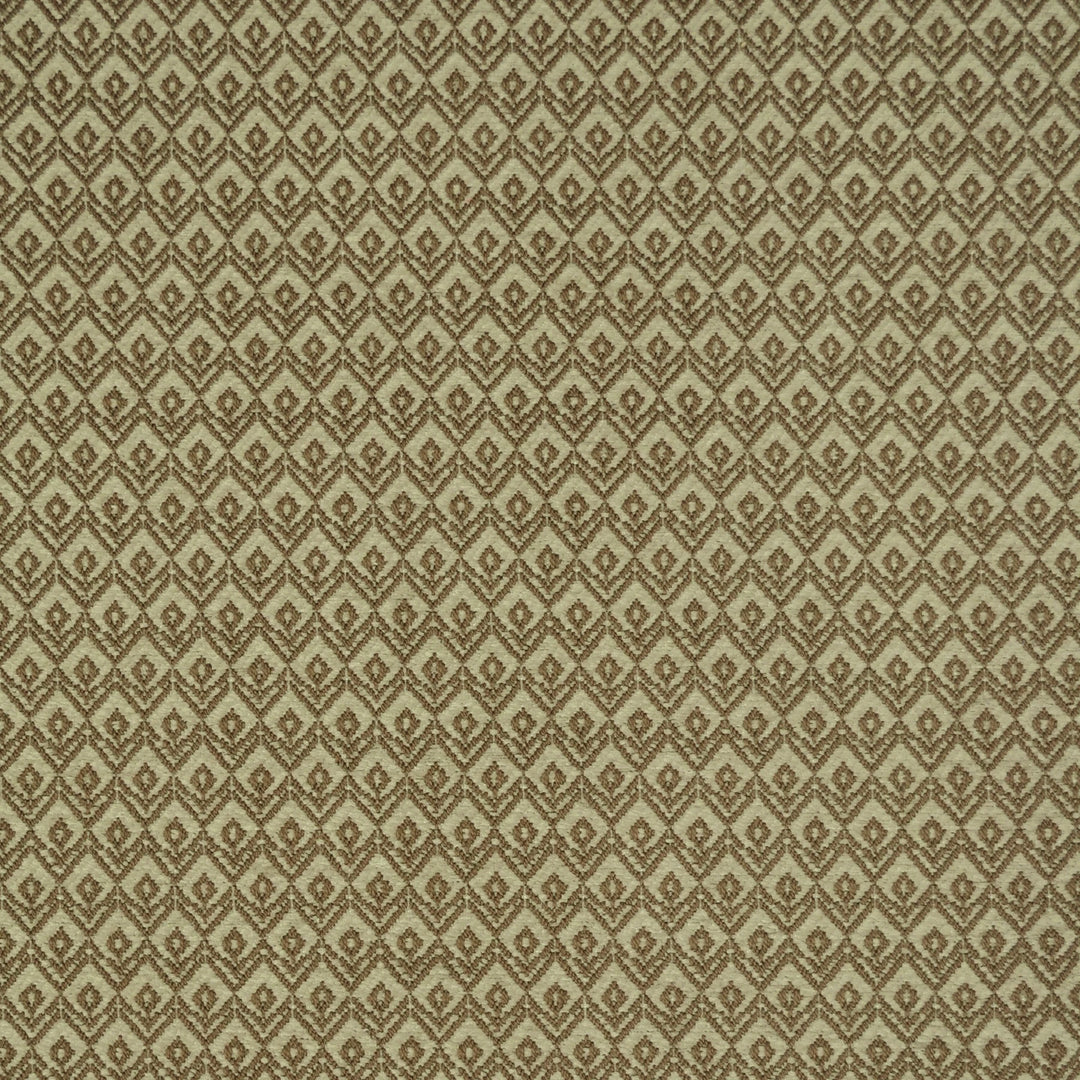 Upland Burl 473041 by PKL Studio Designer Fabric - 69% Polyester 31% Cotton India 51000 Horizontal: .875" and Vertical: 1.625" 54 - Swanky Fabrics -
