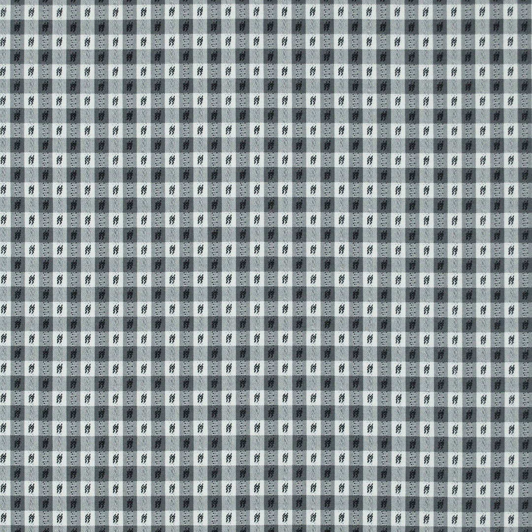 Rosalie Check Domino 473268 by PKL Studio Designer Fabric - 100% Cotton India 40000 Horizontal: .750" and Vertical: .750" 54 - Swanky Fabrics -