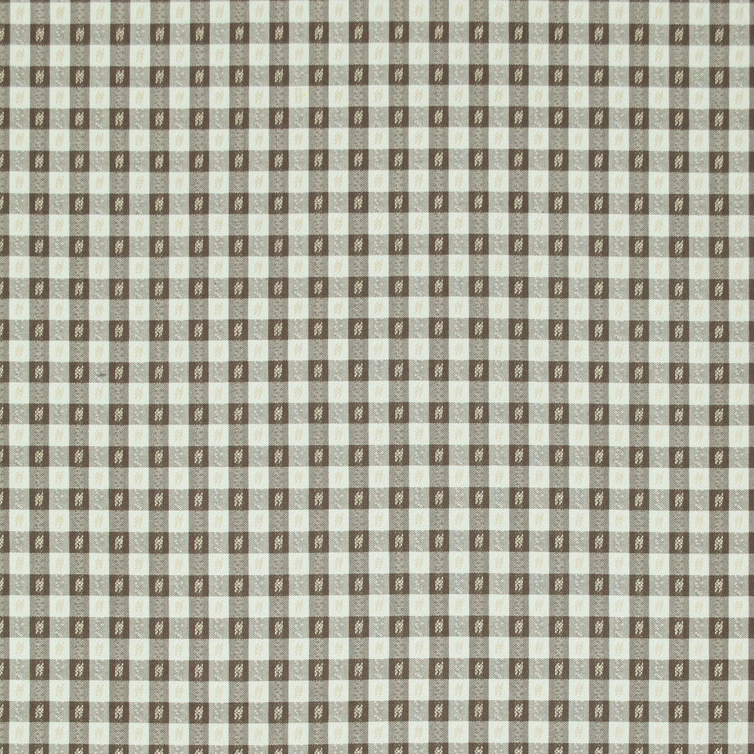 Rosalie Check Chocolate 473269 by PKL Studio Designer Fabric - 100% Cotton India 40000 Horizontal: .750" and Vertical: .750" 54 - Swanky Fabrics -